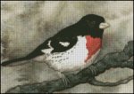 (image for) Grossbeak